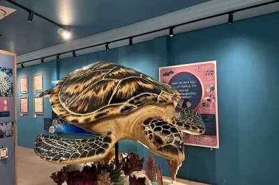 The Marina CROSSROADS Maldives