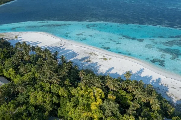 Maldives Resorts vs Local Islands: Which Should You Choose?