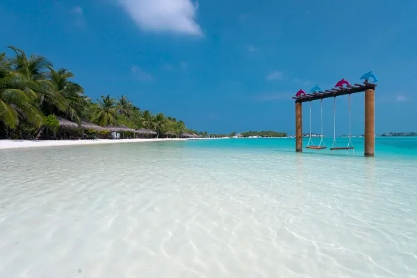 Maldives Resorts vs Local Islands: Which Should You Choose?