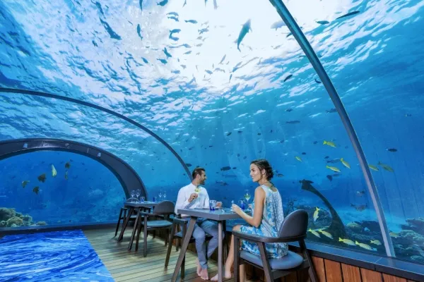 Maldives Resorts With Underwater Restaurants