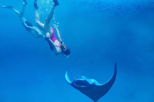 Maldives Honeymoon Guide: Everything Couples Need to Know