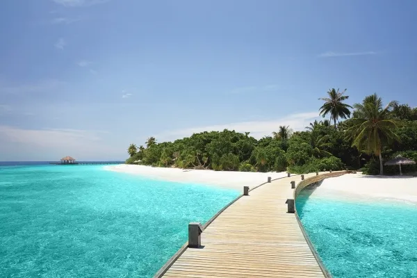 How to Plan the Perfect Maldives Proposal