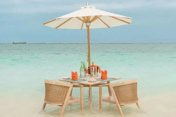 Swimming With Whale Sharks in the Maldives