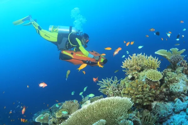 The Best Diving Spots in the Maldives