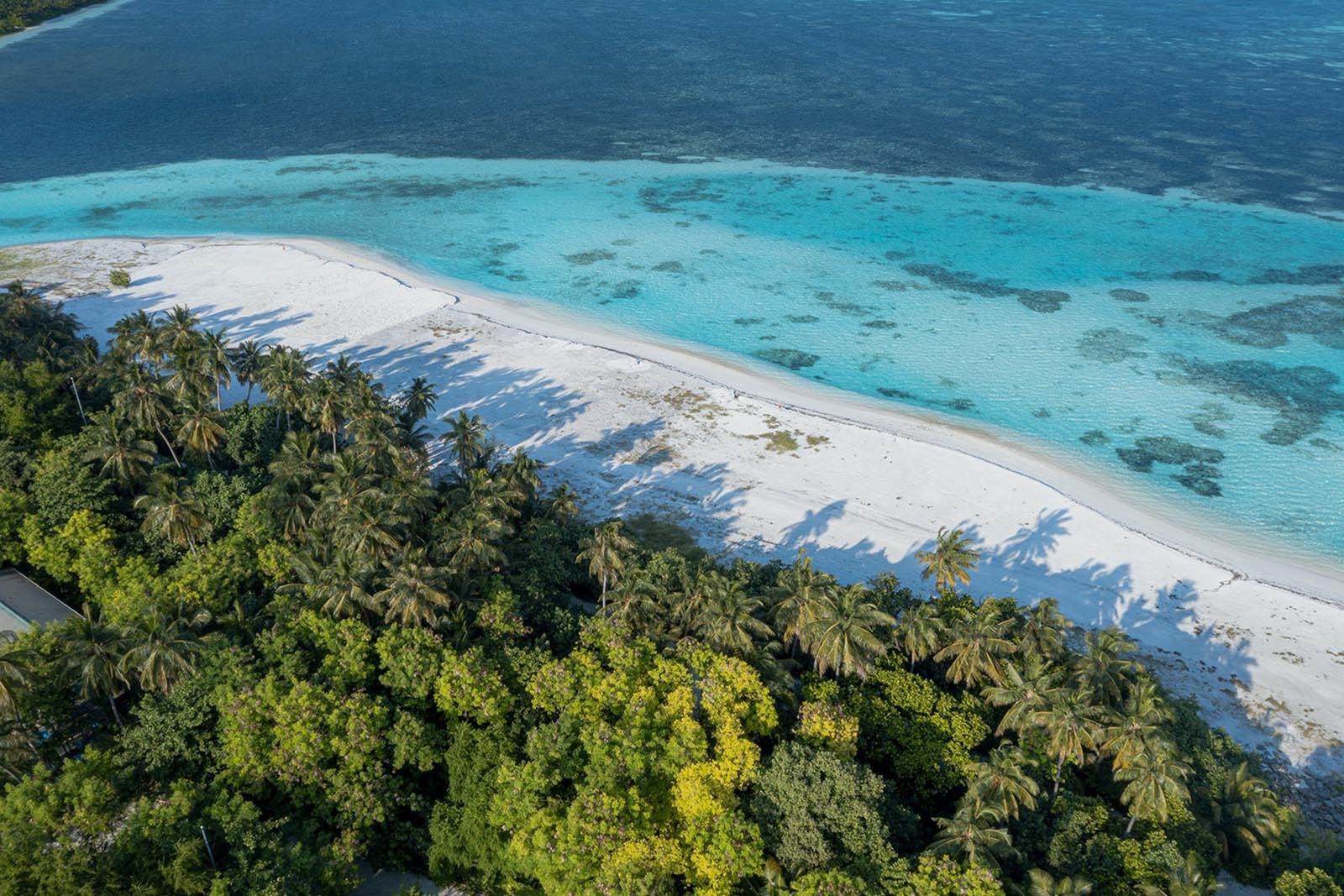 Maldives Resorts vs Local Islands: Which Should You Choose?