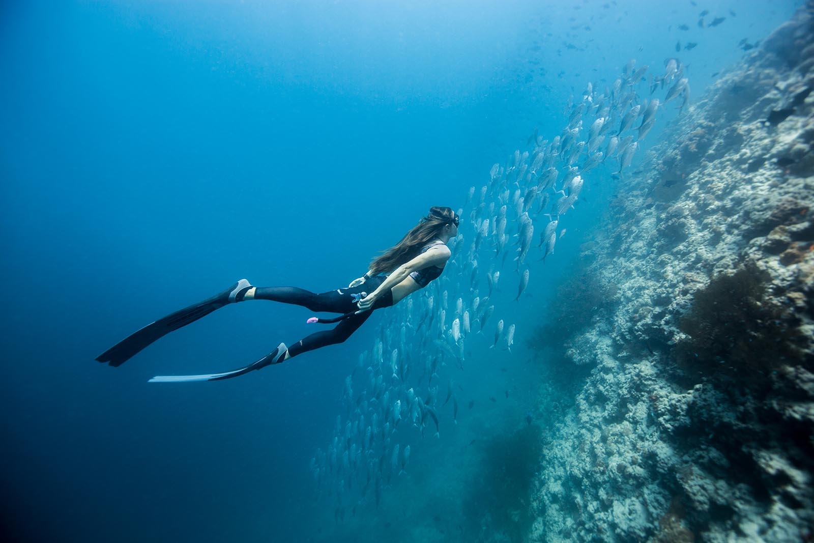 Best Snorkeling Resorts in the Maldives (Ultimate Guide to House Reefs, Marine Life & Travel Tips)