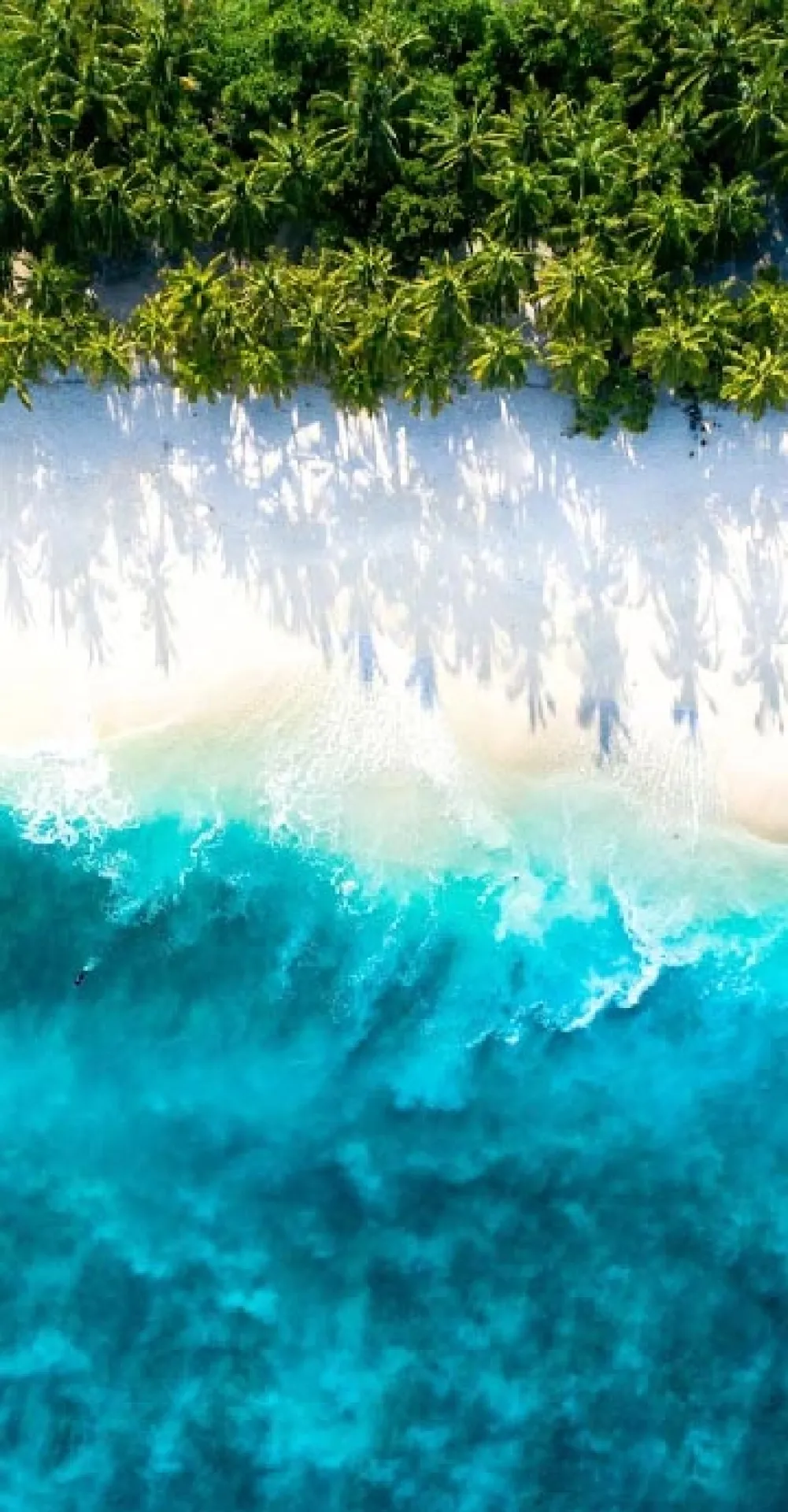 About Us � GoMaldives Holiday