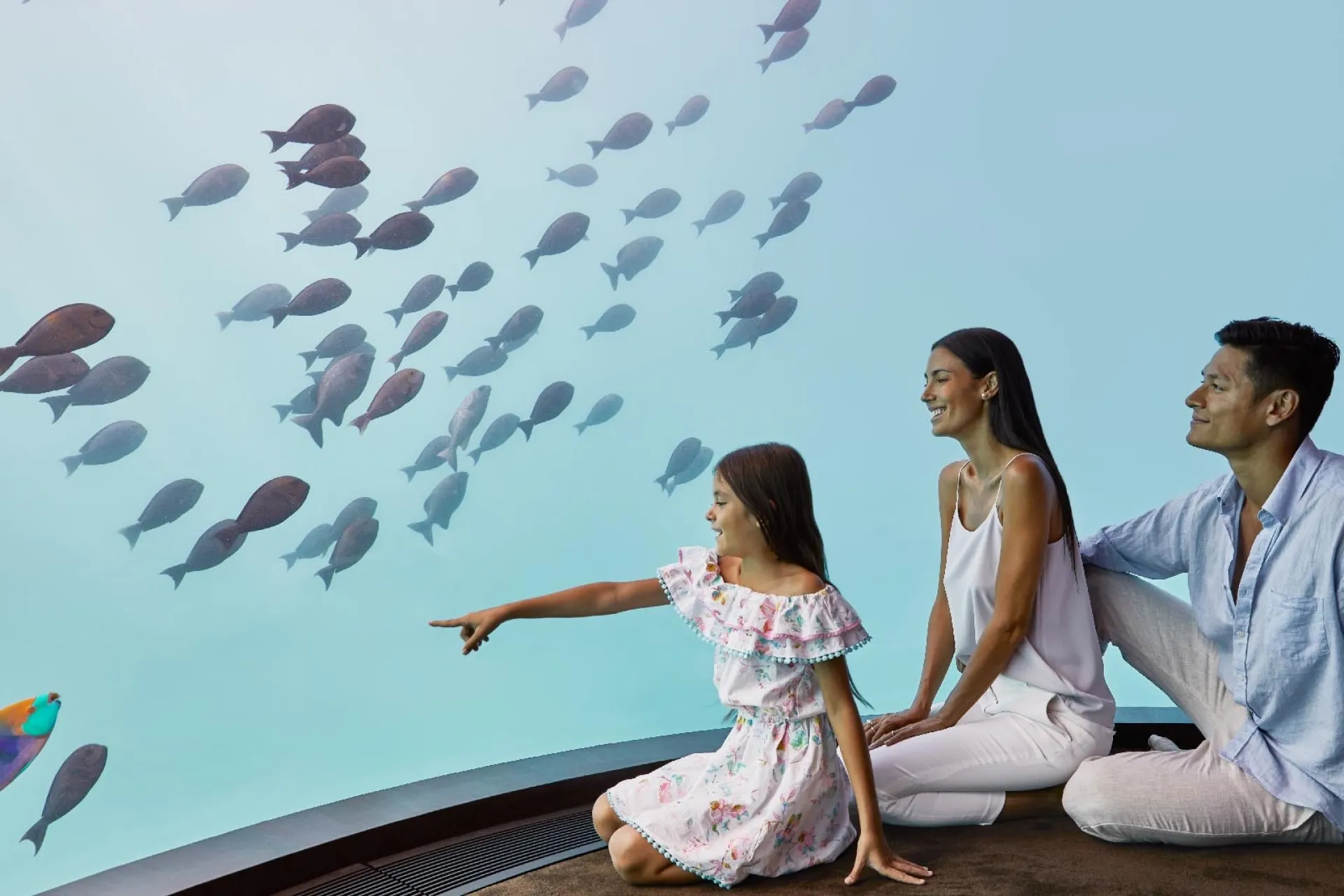 Aquatic Lifestyle in Maldives | Experience Paradise Marine Life & Water Activities