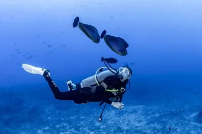 Diving � Experience at COMO Cocoa Island