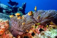 Eri Maldives � Resort Photo 6