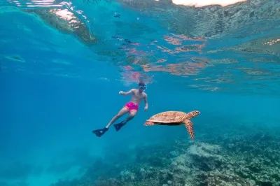 A Snorkeller's Paradise � Experience at Eri Maldives