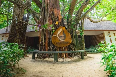 SPA Cenvaree Maldives � Experience at Machchafushi Island Resort & Spa