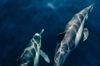 Aquatic Adventures � Experience at Sirru Fen Fushi Private Lagoon Resort