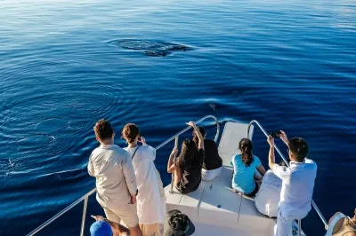 Sunset Dolphin Cruise � Experience at Sirru Fen Fushi Private Lagoon Resort