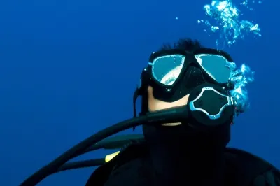 Turtle Encounters � Experience at Sirru Fen Fushi Private Lagoon Resort