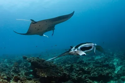 Diving � Experience at Sirru Fen Fushi Private Lagoon Resort