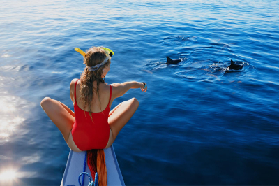 Dolphin Cruise � Experience at Dusit Thani Maldives