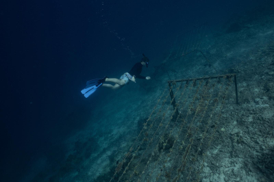 Diving � Experience at Banyan Tree Vabbinfaru