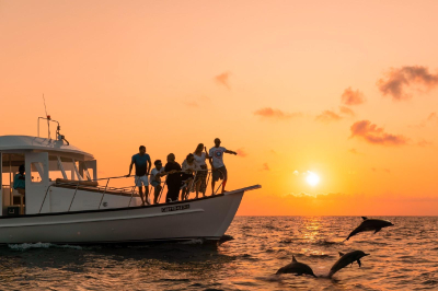Dolphin Cruise � Experience at Banyan Tree Vabbinfaru