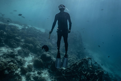 Night Snorkelling � Experience at Banyan Tree Vabbinfaru