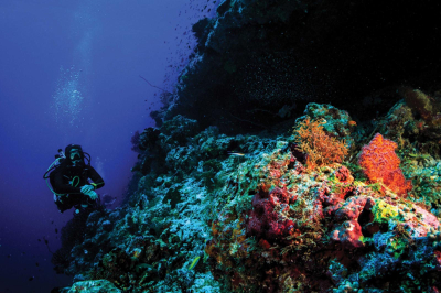 Guided Snorkelling Trip � Experience at OBLU SELECT Lobigili