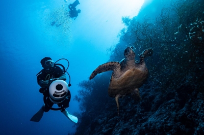SCUBA DIVING � Experience at Meeru Island Resort and Spa