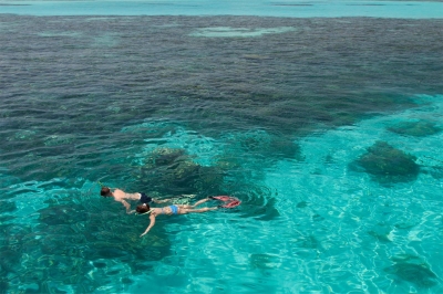 SNORKELING � Experience at Meeru Island Resort and Spa