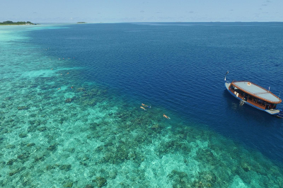 Fishing � Experience at Cocoon Maldives