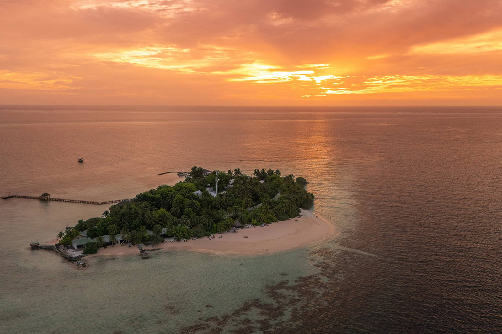 HONEYMOON OFFER