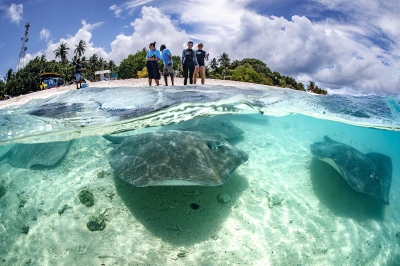 Snorkeling � Experience at Adaaran Club Rannalhi Maldives