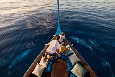 Dolphin Cruise � Experience at Four Seasons Resort Maldives at Kuda Huraa