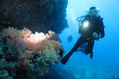 Dive � Experience at Adaaran Select Hudhuran Fushi