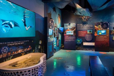 Marine Discovery Centre � Experience at Four Seasons Resort Maldives at Landaa Giraavaru