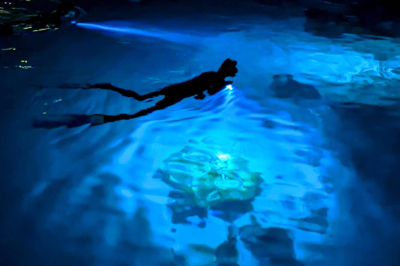 Nighttime On The Reef � Experience at Four Seasons Resort Maldives at Landaa Giraavaru