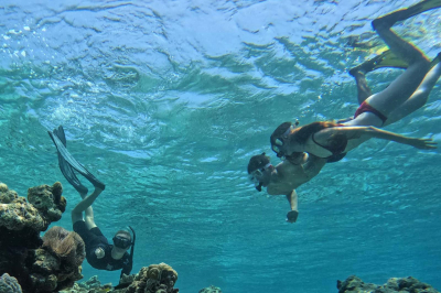 Snorkel Adventure � Experience at Four Seasons Resort Maldives at Landaa Giraavaru