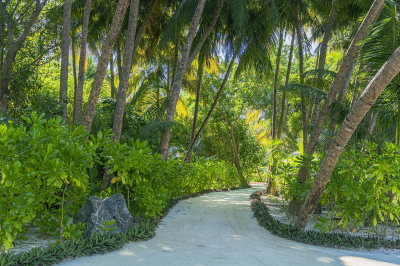 Island Hopping � Experience at Madifushi Private Island