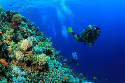 Diving Center � Experience at Emerald Maldives Resort & Spa