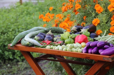 Earth Basket � Experience at The Residence Maldives at Dhigurah