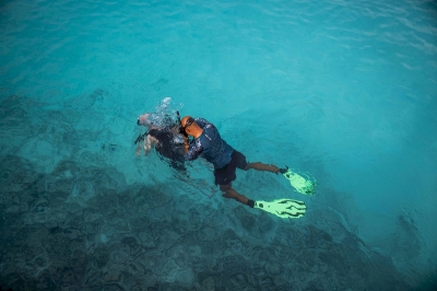 Diving � Experience at Heritance Aarah Maldives
