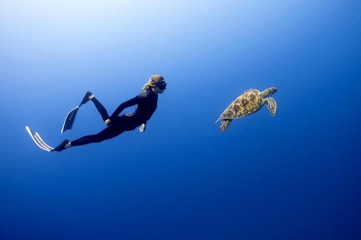 Dive Centre � Experience at dusitD2 Feydhoo Maldives