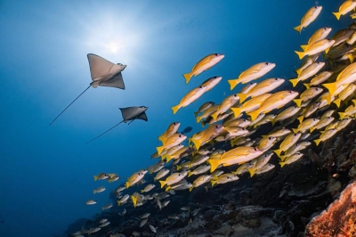 Mesmerising Feydhoo Finolhu � Experience at dusitD2 Feydhoo Maldives