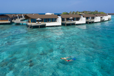 Turtle Snorkel � Experience at The Westin Maldives Miriandhoo Resort