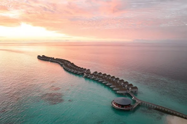 Where Romance Meets the Reef